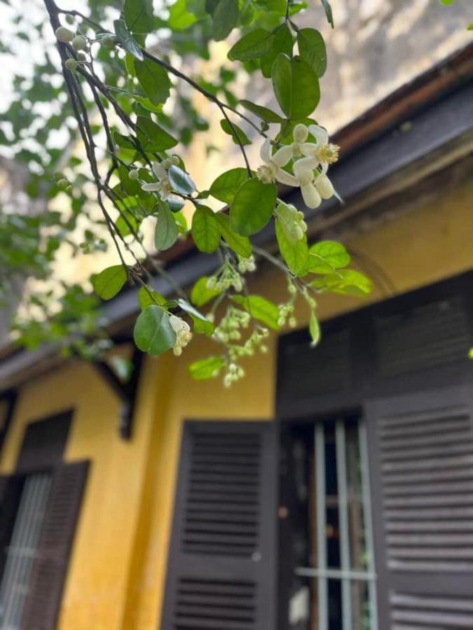 Ciel Homestay Huế Kültér fotó